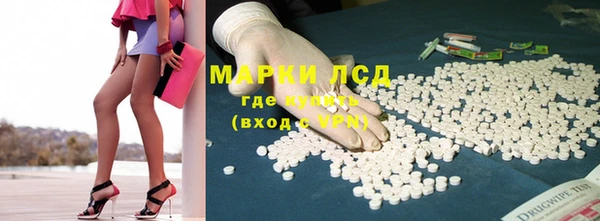 ГАЛЛЮЦИНОГЕННЫЕ ГРИБЫ Козловка