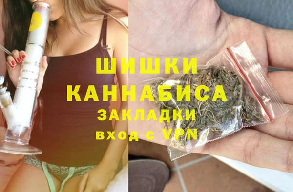 бошки Коряжма