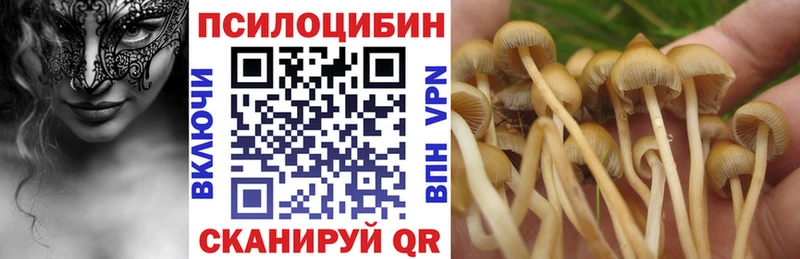 Псилоцибиновые грибы мухоморы Купить закладки Ермолино